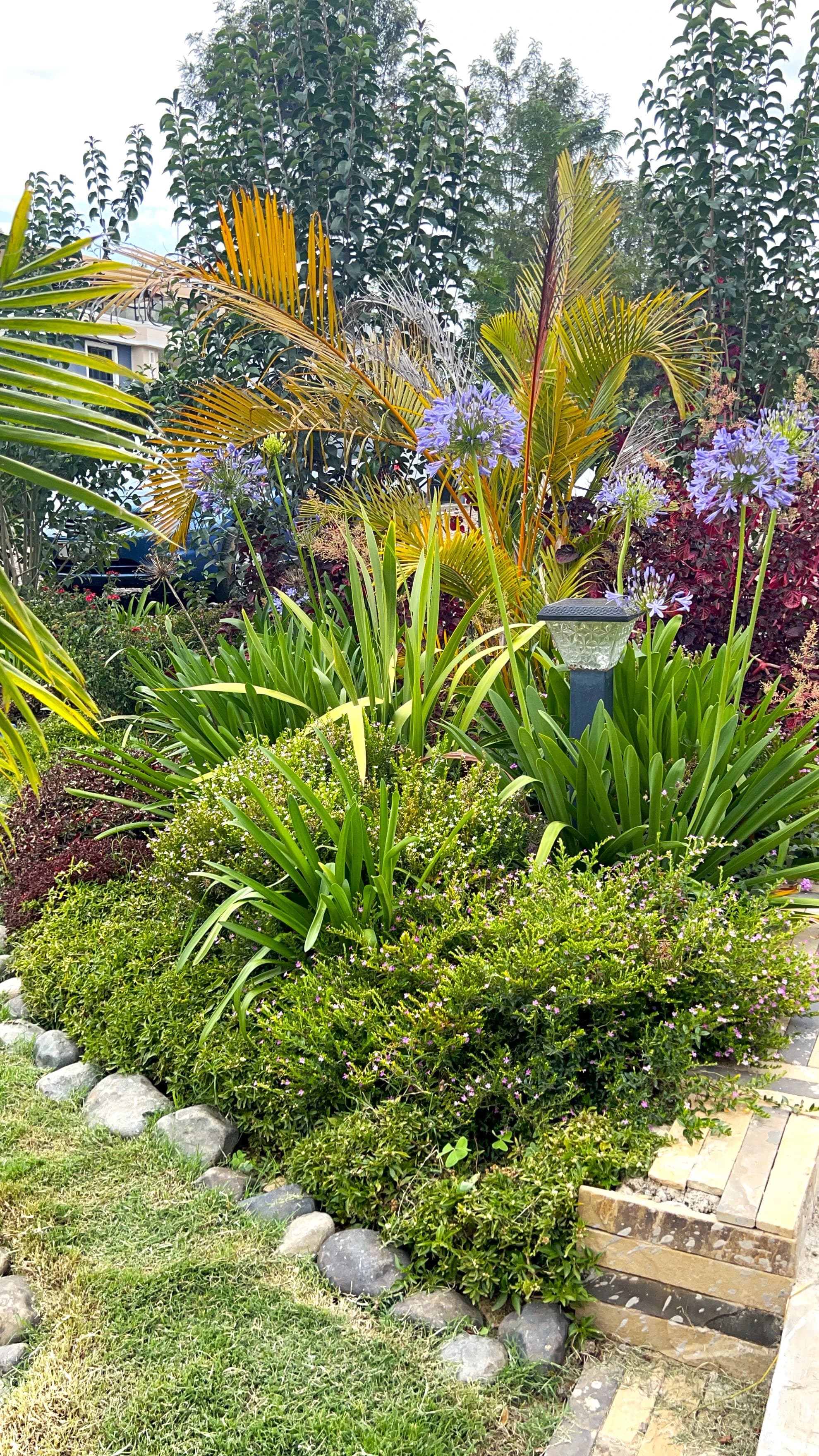 The lush gardens at HK Gardens.